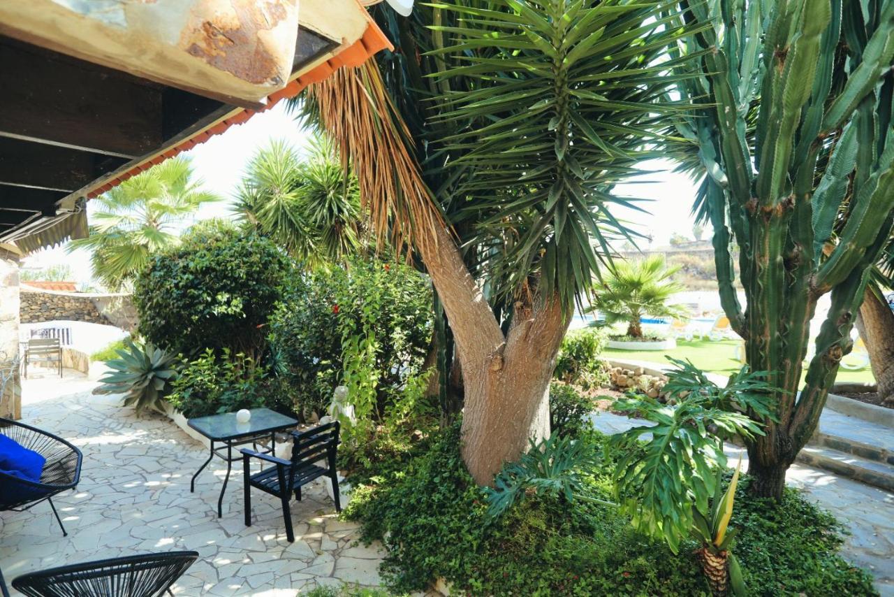 Finca Vino Tinto 4 Icod De Los Vinos Εξωτερικό φωτογραφία