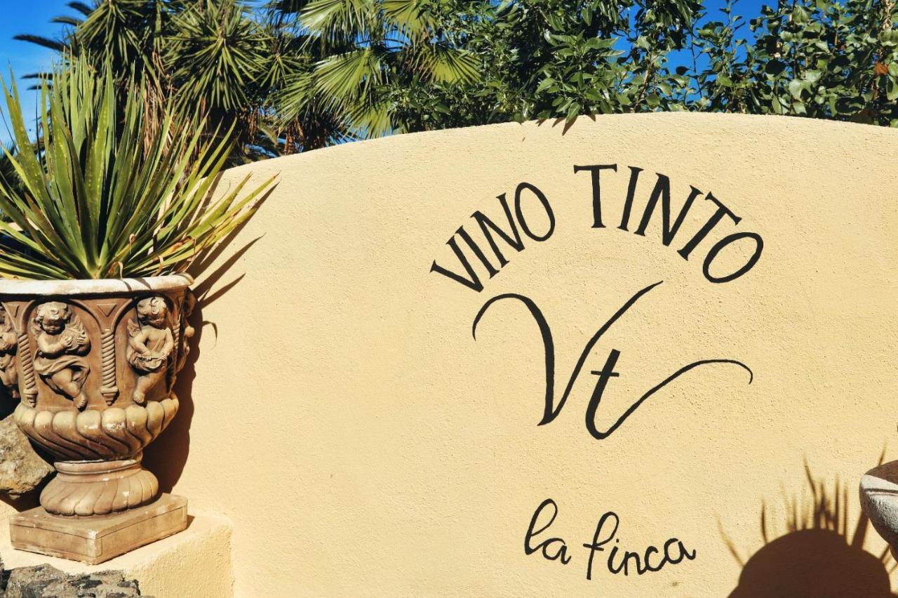 Finca Vino Tinto 4 Icod De Los Vinos Εξωτερικό φωτογραφία